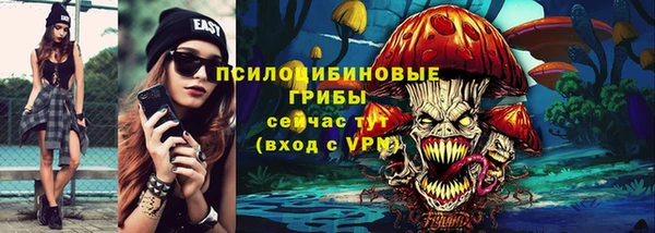 соль ск Белокуриха
