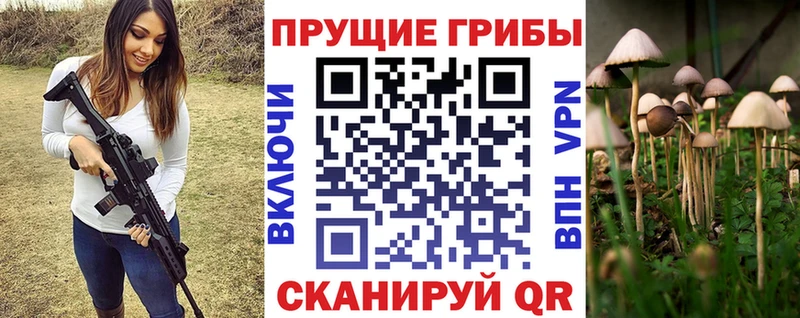 Галлюциногенные грибы Psilocybe  Купить закладки  Дубна 